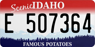 ID license plate E507364