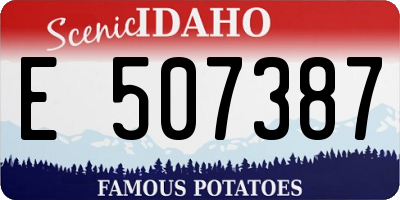 ID license plate E507387
