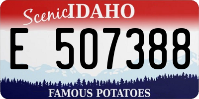 ID license plate E507388
