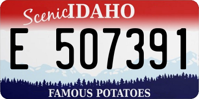 ID license plate E507391