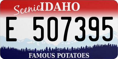 ID license plate E507395