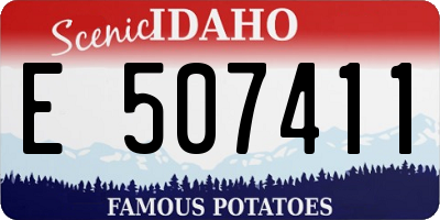 ID license plate E507411