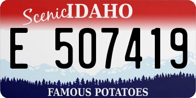 ID license plate E507419