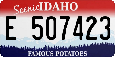 ID license plate E507423