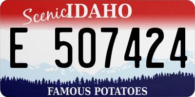 ID license plate E507424