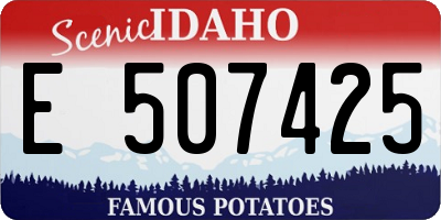 ID license plate E507425