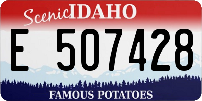 ID license plate E507428