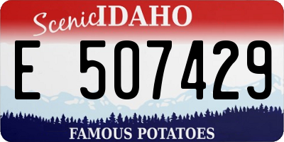 ID license plate E507429