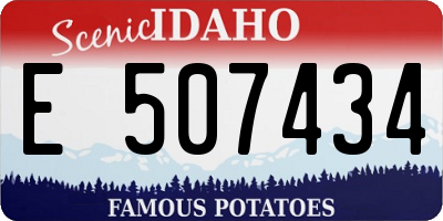ID license plate E507434