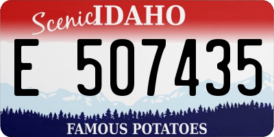 ID license plate E507435