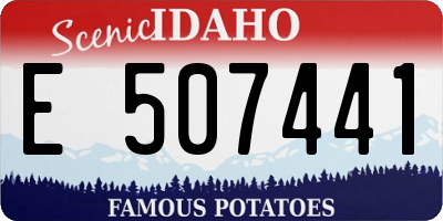 ID license plate E507441