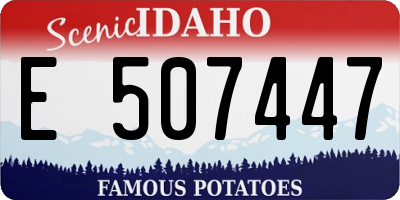 ID license plate E507447