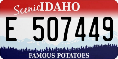 ID license plate E507449