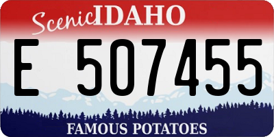 ID license plate E507455
