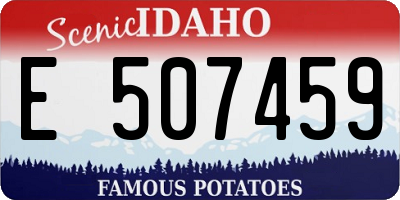 ID license plate E507459