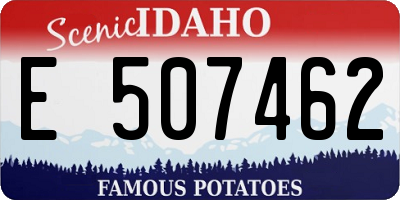 ID license plate E507462