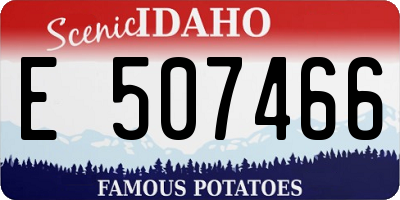 ID license plate E507466