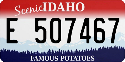 ID license plate E507467