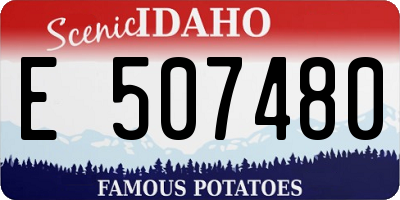 ID license plate E507480