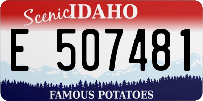 ID license plate E507481