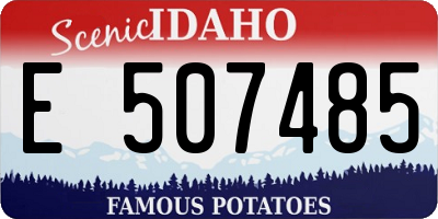 ID license plate E507485
