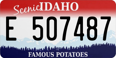 ID license plate E507487