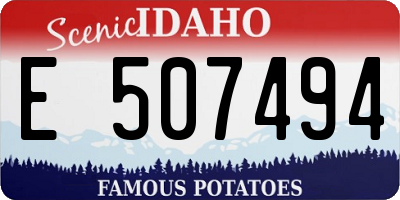 ID license plate E507494