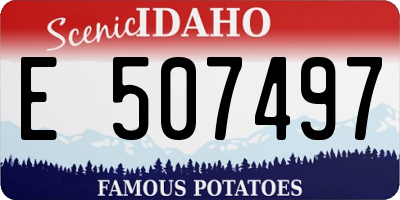 ID license plate E507497