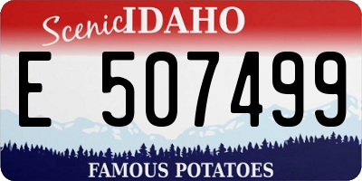 ID license plate E507499