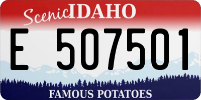 ID license plate E507501