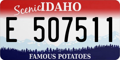 ID license plate E507511