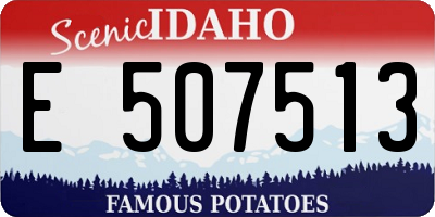 ID license plate E507513