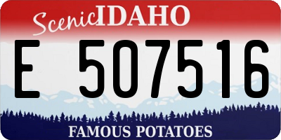 ID license plate E507516