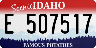 ID license plate E507517