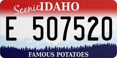 ID license plate E507520