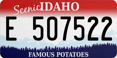 ID license plate E507522