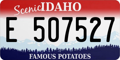 ID license plate E507527