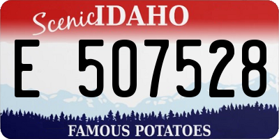 ID license plate E507528