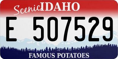 ID license plate E507529