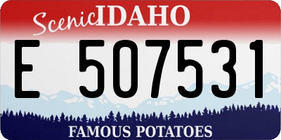 ID license plate E507531