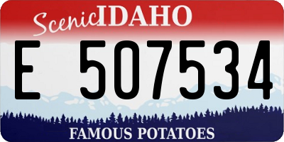 ID license plate E507534
