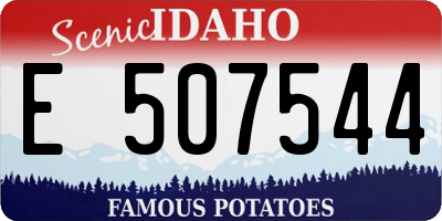 ID license plate E507544
