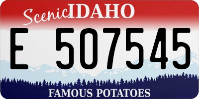 ID license plate E507545