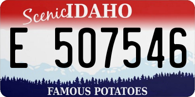 ID license plate E507546