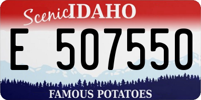 ID license plate E507550
