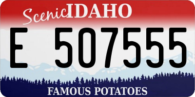 ID license plate E507555