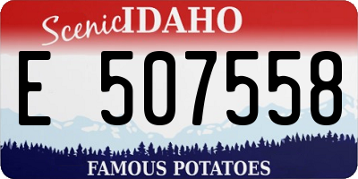 ID license plate E507558