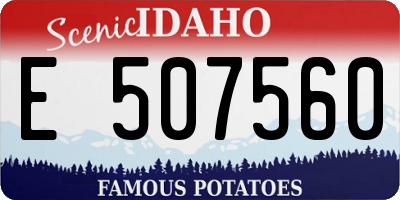 ID license plate E507560
