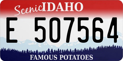 ID license plate E507564