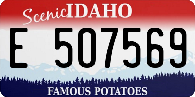 ID license plate E507569